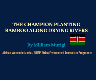 Read more about the article The champion planting bamboo along drying rivers