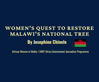 Read more about the article Women’s quest to restore Malawi’s national tree