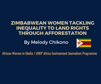Read more about the article Zimbabwean women tackling inequality to land rights through afforestation